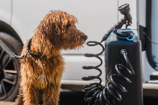 ONTAP Portable Camping Shower - Black Edition