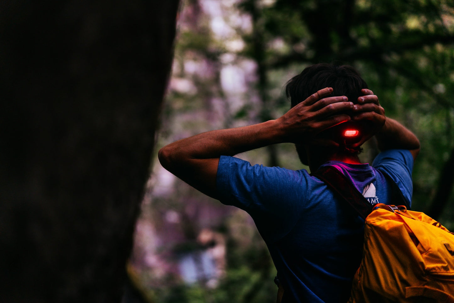 BioLite HeadLamp 800 Pro - USB-C Rechargeable
